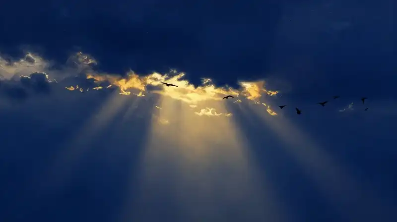 Silhouette rising against a dark blue sky with golden light